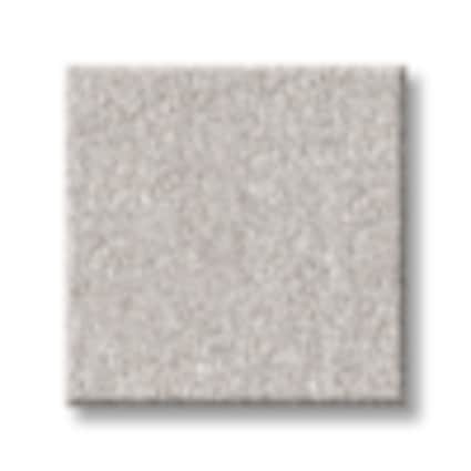 Shaw Flushing Bay Cloud Texture Carpet with Pet Perfect-Sample